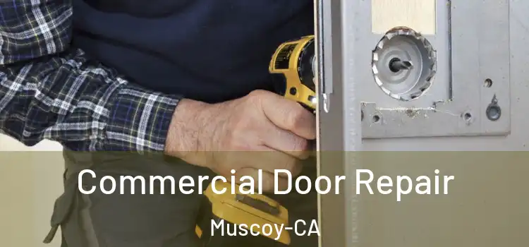 Commercial Door Repair Muscoy-CA