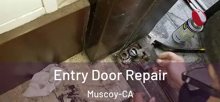 Entry Door Repair Muscoy-CA